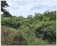  2025Ÿ��1709 ��� ���ֱ� ������ ��긮 784-1      ����(��1)���