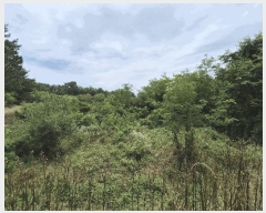  2025Ÿ��1709 ��� ���ֱ� ������ ��긮 784-1      ����(��1)���