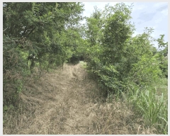  2025Ÿ��1709 ��� ���ֱ� ������ ��긮 784-1      ����(��1)���