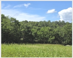  2025Ÿ��1709 ��� ���ֱ� ������ ��긮 784-1      ����(��1)���