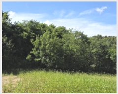  2025Ÿ��1709 ��� ���ֱ� ������ ��긮 784-1      ����(��1)���