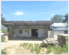  2025Ÿ��1761 �뱸 �޼��� �Ϻ�� ��� 213      ���ð��