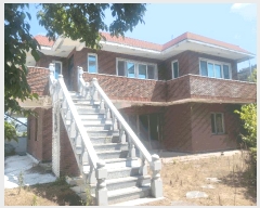  2025Ÿ��1761 �뱸 �޼��� �Ϻ�� ��� 213      ���ð��