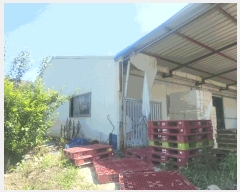  2025Ÿ��1761 �뱸 �޼��� �Ϻ�� ��� 213      ���ð��
