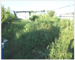  2025Ÿ��2306 �뱸 �޼��� ������ ������ 600-2      ����(��)���
