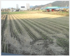  2025Ÿ��30934 ��� ���ɱ� �밡���� ���Ƹ� 134-3      ����(��)���