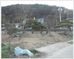  2025Ÿ��30934 ��� ���ɱ� �밡���� ���Ƹ� 134-3      ����(��)���