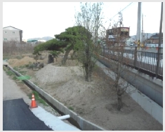  2025Ÿ��30934 ��� ���ɱ� �밡���� ���Ƹ� 134-3      ����(��)���