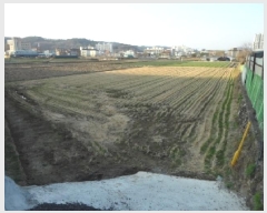  2025Ÿ��30934 ��� ���ɱ� �밡���� ���Ƹ� 134-3      ����(��)���