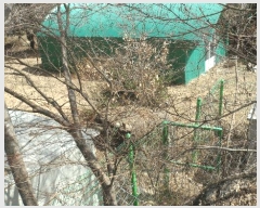  2025Ÿ��31001 �뱸 �޼��� ��â�� ���ϸ� 715      ����(��)���