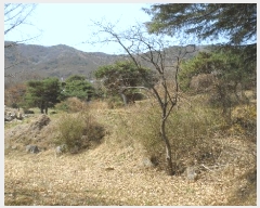  2025Ÿ��31001 �뱸 �޼��� ��â�� ���ϸ� 715      ����(��)���