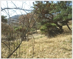  2025Ÿ��31001 �뱸 �޼��� ��â�� ���ϸ� 715      ����(��)���