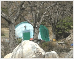  2025Ÿ��31001 �뱸 �޼��� ��â�� ���ϸ� 715      ����(��)���