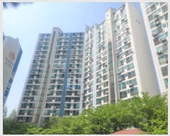  2025Ÿ��31072  ����Ʈ���