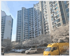  2025Ÿ��31072  ����Ʈ���