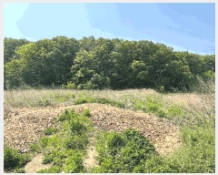  2025Ÿ��31102 �뱸 �޼��� �Ϻ�� ���� 881-8      ����(��)���