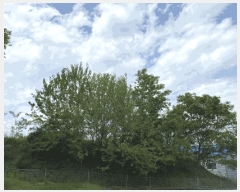  2025Ÿ��31206 ��� ���ֱ� ������ ���踮 664      ����(��1)���