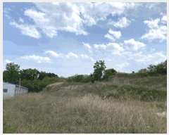  2025Ÿ��31206 ��� ���ֱ� ������ ���踮 664      ����(��1)���