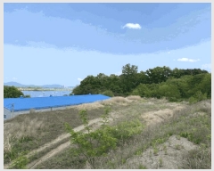  2025Ÿ��31206 ��� ���ֱ� ������ ���踮 664      ����(��1)���