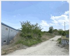  2025Ÿ��31206 ��� ���ֱ� ������ ���踮 664      ����(��1)���