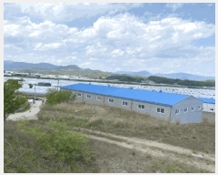  2025Ÿ��31206 ��� ���ֱ� ������ ���踮 664      ����(��1)���