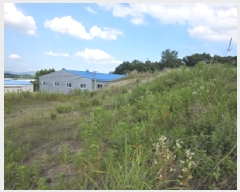  2025Ÿ��31206 ��� ���ֱ� ������ ���踮 664      ����(��1)���