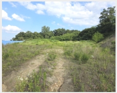  2025Ÿ��31206 ��� ���ֱ� ������ ���踮 664      ����(��1)���