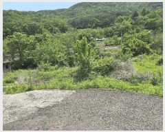  2025Ÿ��31216  �������