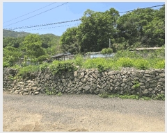  2025Ÿ��31216  �������