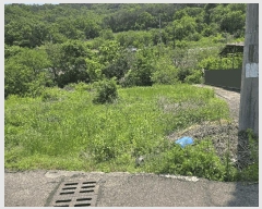  2025Ÿ��31216  �������