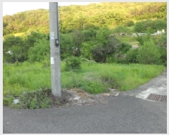  2025Ÿ��31216  �������