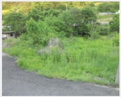  2025Ÿ��31216  �������