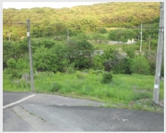  2025Ÿ��31216  �������