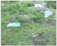  2025Ÿ��31216  �������