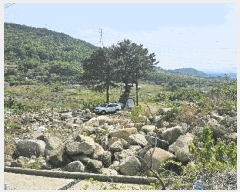  2025Ÿ��31228 �뱸 �޼��� ������ �縮 383-1      ����(����)���