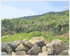  2025Ÿ��31228 �뱸 �޼��� ������ �縮 383-1      ����(����)���