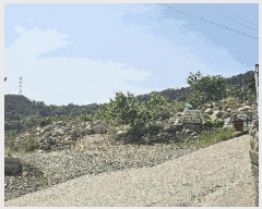  2025Ÿ��31228 �뱸 �޼��� ������ �縮 383-1      ����(����)���