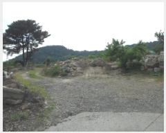  2025Ÿ��31228 �뱸 �޼��� ������ �縮 383-1      ����(����)���