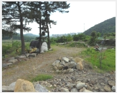  2025Ÿ��31228 �뱸 �޼��� ������ �縮 383-1      ����(����)���