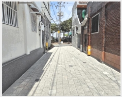  2025Ÿ��31240  ���ΰ��