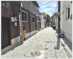  2025Ÿ��31240  ���ΰ��