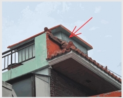  2025Ÿ��31246  ���ð��