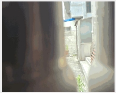  2025Ÿ��31289  �ٰ������ð��