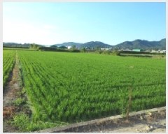  2025Ÿ��31373 �뱸 �޼��� ��ǳ�� ������ 755      ����(��)���