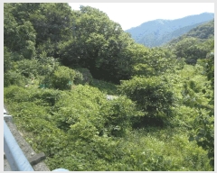  2025Ÿ��31379  �����