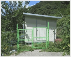  2025Ÿ��31379  �����