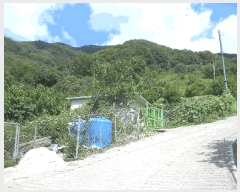  2025Ÿ��31379  �����