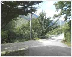  2025Ÿ��31379  �����