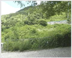  2025Ÿ��31379  �����