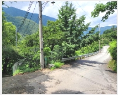  2025Ÿ��31379  �����